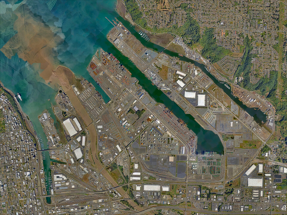 Tidelands Division 1